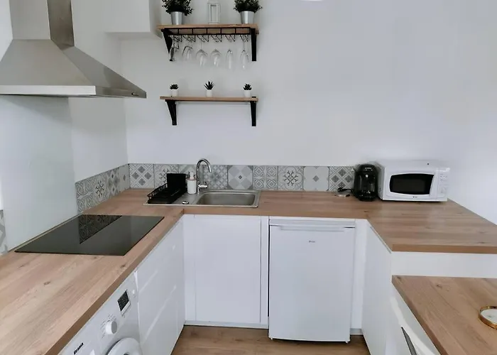 Maison Individuelle Avec Exterieur Aubière